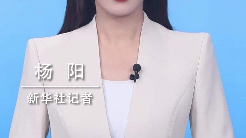 数据库运维服务定制：企业级解决方案的深度解析